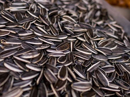 Sunflower seedsの写真素材