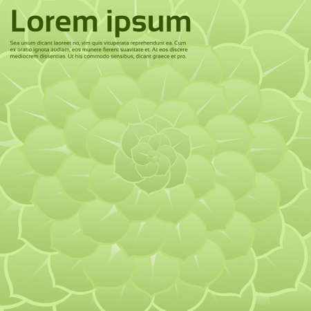 Green Flower Petals Abstract Background with Copy Space Vector Illustrationのイラスト素材