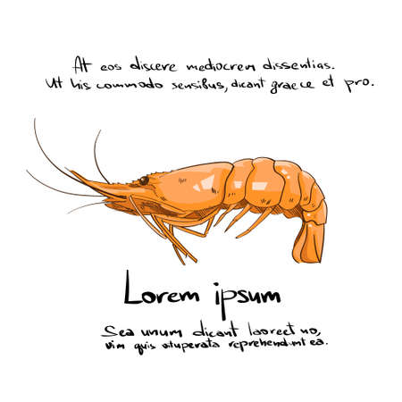 Grilled Shrimp Orange Color Icon Big Prawnのイラスト素材