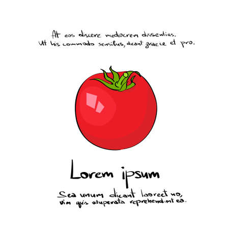 Red Tomato Hand Draw  Color Icon Set Vector Illustrationのイラスト素材