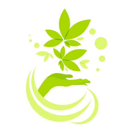 Hand Hold Green Leaves Logo Icon Isolated on White Background Vector Illustrationのイラスト素材