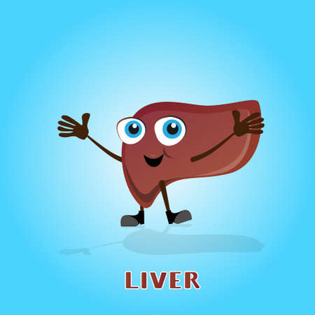 Liver Smiling Cartoon Character Icon Banner Flat Vector Illustrationのイラスト素材