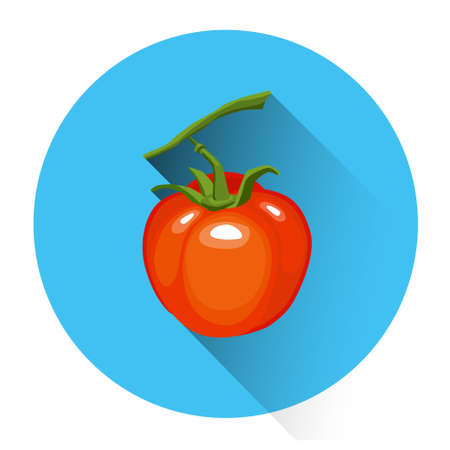 Tomato Colorful Vegetable Icon Flat Vector Illustrationのイラスト素材