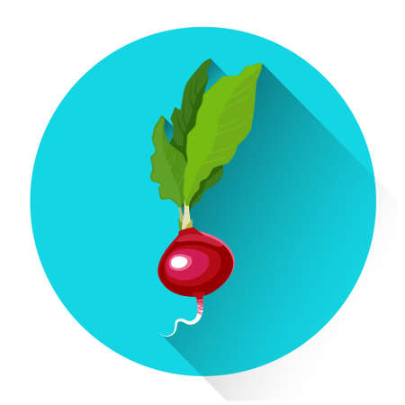 Radish Colorful Vegetable Icon Flat Vector Illustrationのイラスト素材