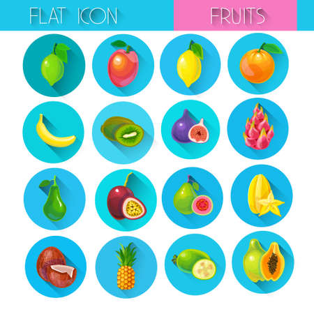 Tropical Fruits Set Colorful Icon Collection Flat Vector Illustrationのイラスト素材