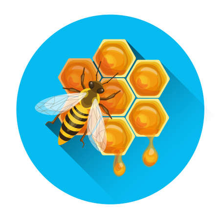 Bee On Honeycomb Apiary Icon Vector Illustrationのイラスト素材