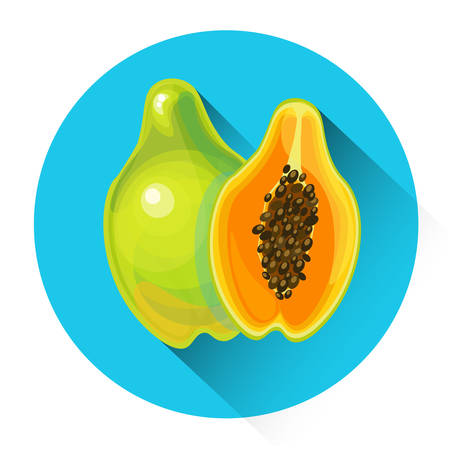 Papaya Colorful Fruit Icon Flat Vector Illustrationのイラスト素材