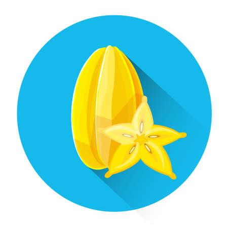 Carom Colorful Fruit Icon Flat Vector Illustrationのイラスト素材