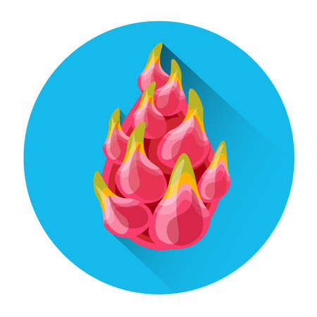 Dragon Fruit Colorful Icon Flat Vector Illustrationのイラスト素材
