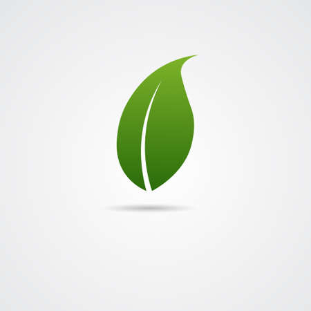Eco Friendly Organic Natural Product Web Icon Green  Flat Vector Illustrationのイラスト素材