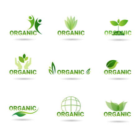 Eco Friendly Organic Natural Product Web Icon Set Green  Collection Flat Vector Illustrationのイラスト素材