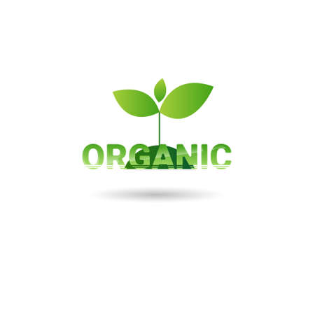 Eco Friendly Organic Natural Product Web Icon Green  Flat Vector Illustrationのイラスト素材