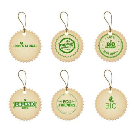 Eco Friendly Organic Natural Product Web Icon Tag Set Green  Flat Vector Illustrationのイラスト素材