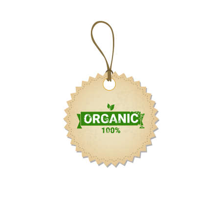Eco Friendly Organic Natural Product Web Icon Tag Green  Flat Vector Illustrationのイラスト素材