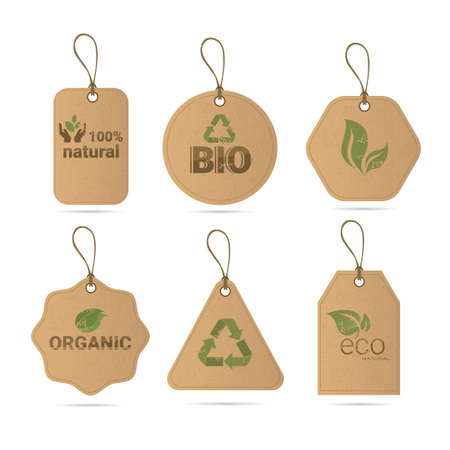 Eco Friendly Organic Natural Product Web Icon Tag Set Green  Flat Vector Illustrationのイラスト素材