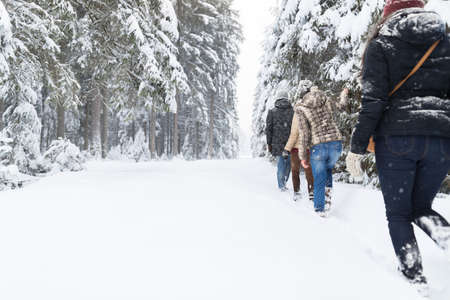 Friends Group Snow Forest Young People Walking Outdoor Winter Pine Woodsの写真素材