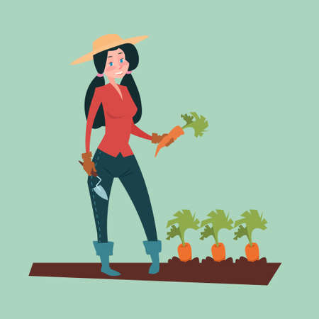 Farmer Woman Gather Carrot Harvest Eco Farming Flat Vector Illustrationのイラスト素材