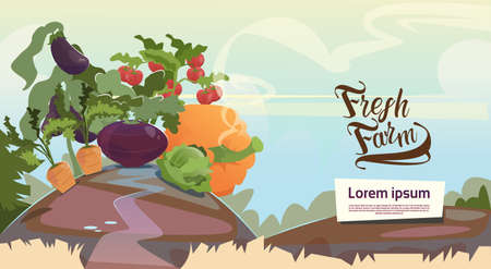 Vegetable Harvest Eco Fresh Farm Concept Flat Vector Illustrationのイラスト素材