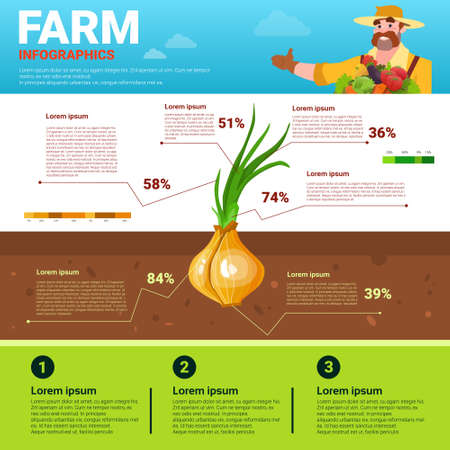 Farming Infographics Eco Friendly Organic Natural vegetable Growth Farm Production Banner With Copy Space Vector Illustrationのイラスト素材