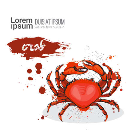 Crab Hand Drawn Watercolor Sea Food On White Background With Copy Space Vector Illustrationのイラスト素材