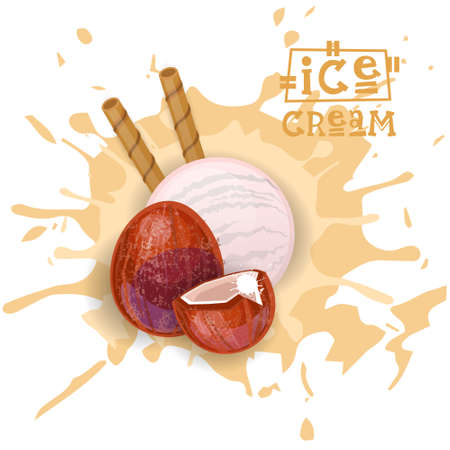 Ice Cream Coconut Ball Dessert Choose Your Taste Cafe Poster Vector Illustrationのイラスト素材