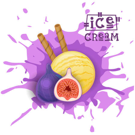 Ice Cream Fig Ball Fruit Dessert Choose Your Taste Cafe Poster Vector Illustrationのイラスト素材