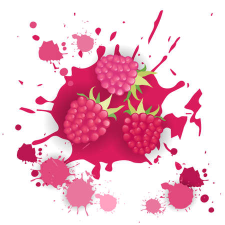 Raspberry fruit watercolor splash design illustration.のイラスト素材