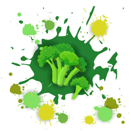 Broccoli Vegetable Watercolor Splash Design Fresh Natural Food Vector Illustrationのイラスト素材