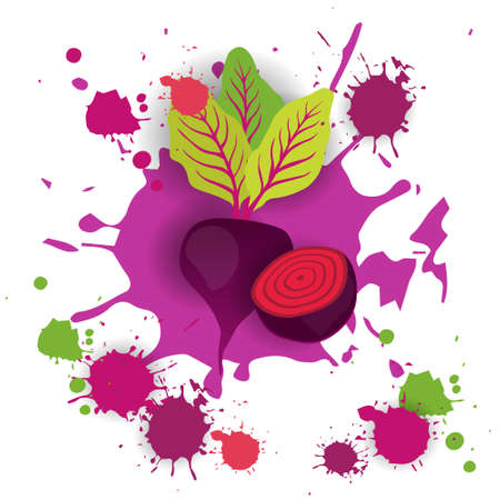 Beet Vegetable Watercolor Splash Design Fresh Natural Food Vector Illustrationのイラスト素材