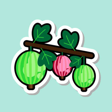Gooseberry Sticker On Blue Background Colorful Fruit Icon Vector Illustrationのイラスト素材