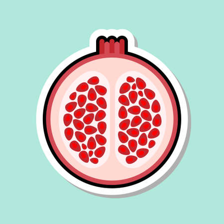 Pomegranate Sticker On Blue Background Colorful Fruit Icon Vector Illustrationのイラスト素材