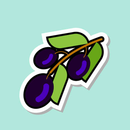 Black Olive Sticker On Blue Background Colorful Vegetable Icon Vector Illustrationのイラスト素材
