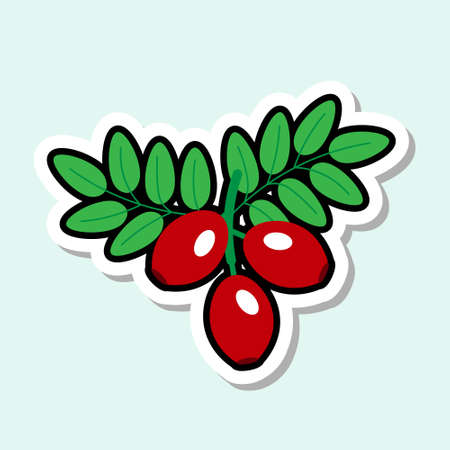 Sticker On Blue Background Colorful Fruit Icon Vector Illustrationの写真素材