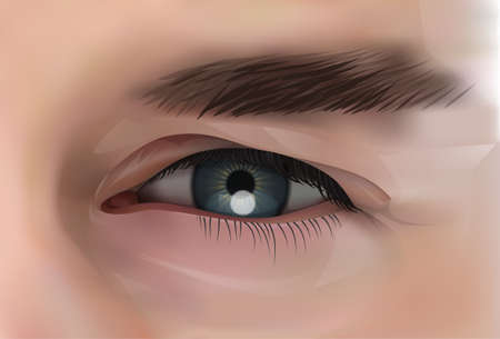 Realistic Eye Of Caucasian Male Person Closeup Vector Illustrationのイラスト素材