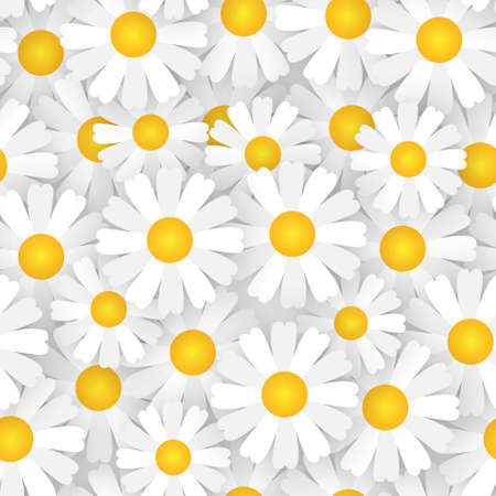 White Chamomile Flowers Seamless Pattern Beautiful Floral Ornament Background Vector Illustrationのイラスト素材