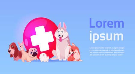 Group of happy dogs over vet clinic icon veterinary medicine concept flat vector illustration.のイラスト素材