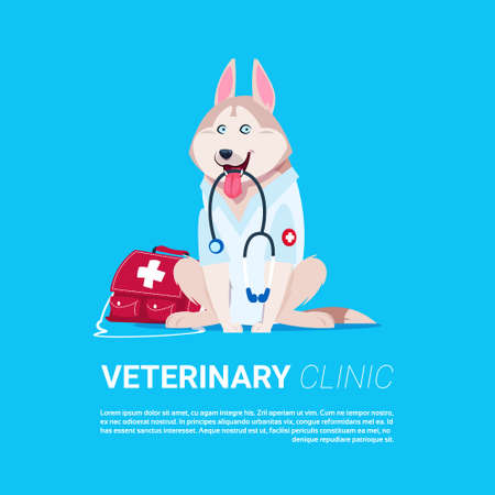 Dog Holding Stethoscope Veterinary Clinic Icon Background With Copy Space Flat Vector Illustrationのイラスト素材