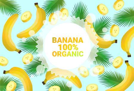 banana fruit colorful circle copy space organic over fresh fruits pattern background healthy lifestyle or diet concept vector illustrationのイラスト素材
