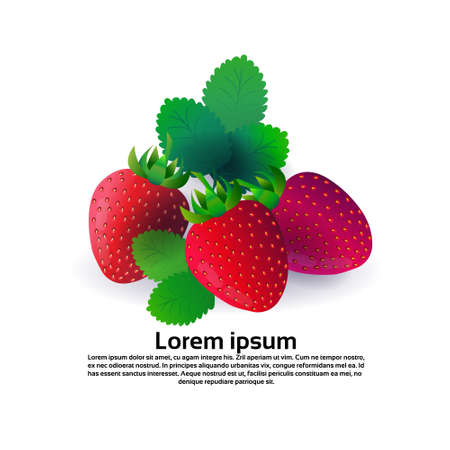 Strawberry fruit on white background, healthy lifestyle or diet conceptのイラスト素材