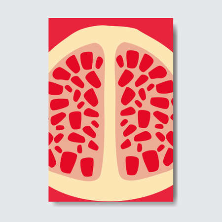 cut garnet template card, slice fresh fruit poster on white background, magazine cover vertical layout brochure poster, flat design, healthy lifestyle or diet concept vector illustrationのイラスト素材