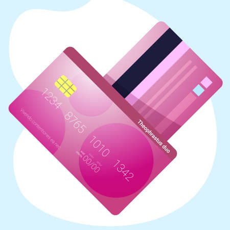 credit card realistic style front back view online banking ecommerce internet shopping payments concept electronic payments flat isolated vector illustrationのイラスト素材