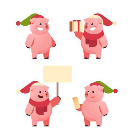 set cute pigs symbol of 2019 chinese new year merry christmas holiday concept isolated flat vector illustrationのイラスト素材
