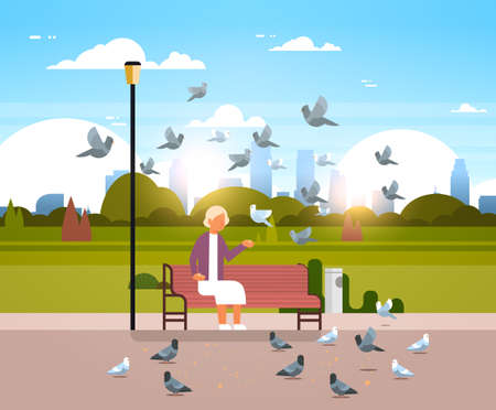 senior woman feeding flock of pigeon sitting wooden bench urban city park cityscape background horizontal flat vector illustrationのイラスト素材