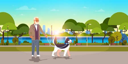 senior man walking with husky dog urban city park background grandfather with his animal pet best friend concept horizontal flat vector illustrationのイラスト素材