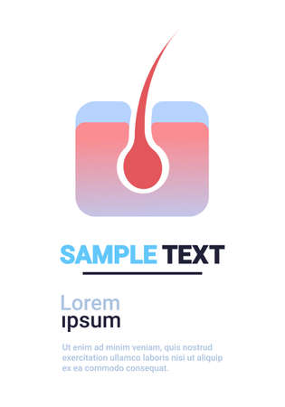 hair follicle human organ anatomy healthcare medical concept infographic template copy space white background vertical vector illustrationのイラスト素材