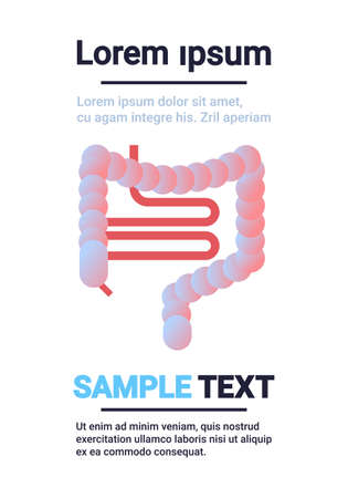 human digestive system intestine internal organ symbol gut health anatomy healthcare concept infographic template copy space white background vertical vector illustrationのイラスト素材