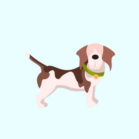 funny puppy cute little dog animal home pets concept flat vector illustrationのイラスト素材