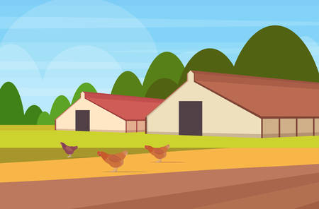 free range chicken on a traditional poultry farm barn building agriculture and farming concept field farmland countryside landscape flat horizontal vector illustrationのイラスト素材