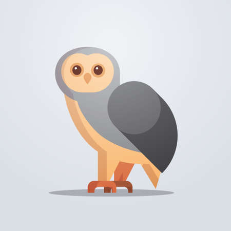 owl bird icon cute cartoon wild animal symbol wildlife species fauna concept flat vector illustrationのイラスト素材
