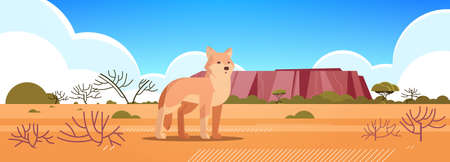 dingo enjoying the sun in australia desert australian wild animal wildlife fauna concept landscape background horizontal vector illustrationのイラスト素材